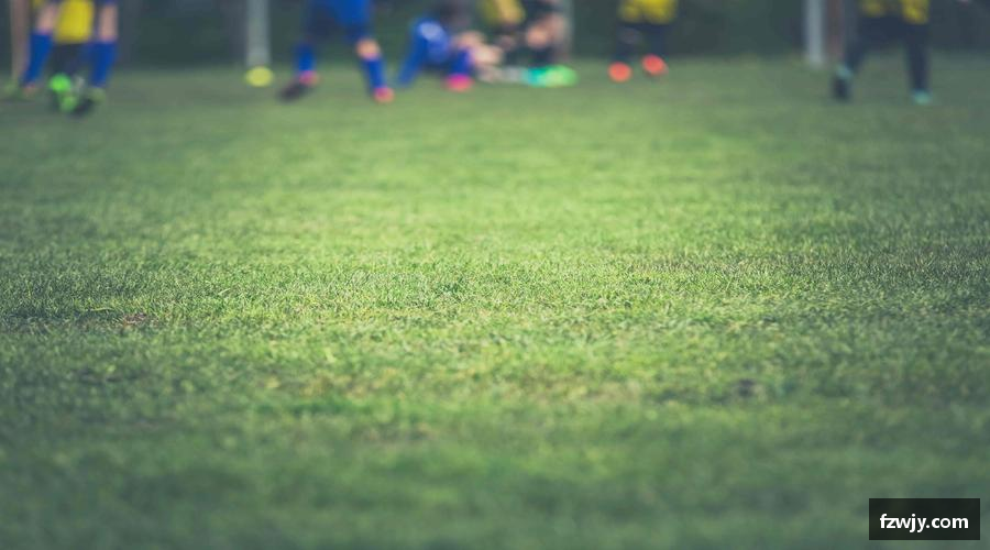 谈球吧app实时直播，身临其境！🎥